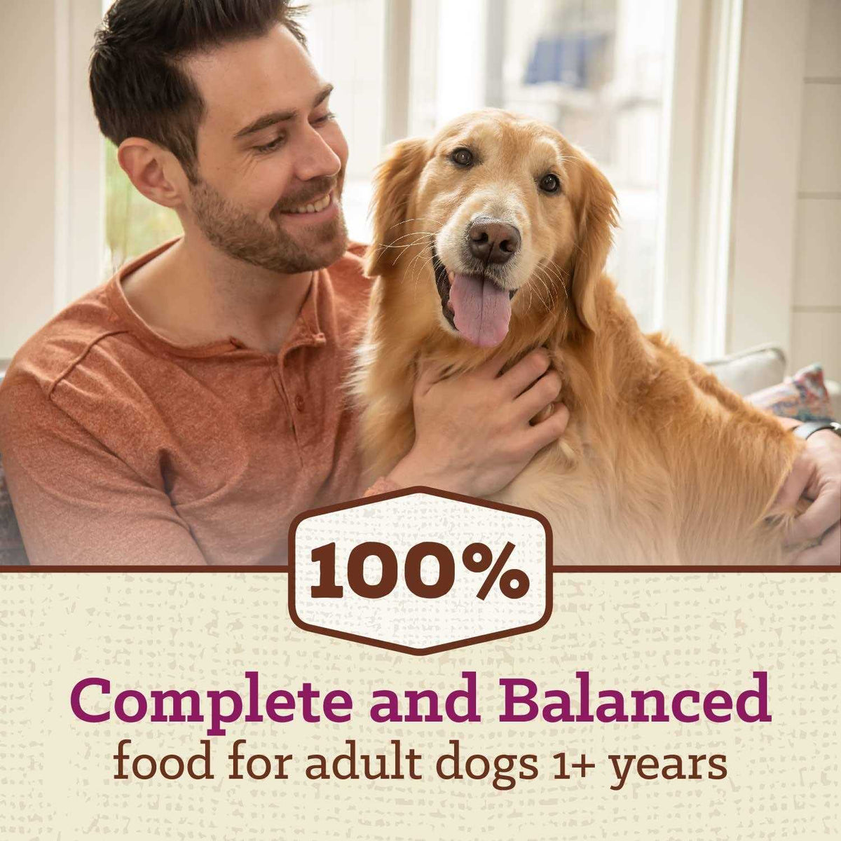 Adult Dry Dog Food with Chicken Z424