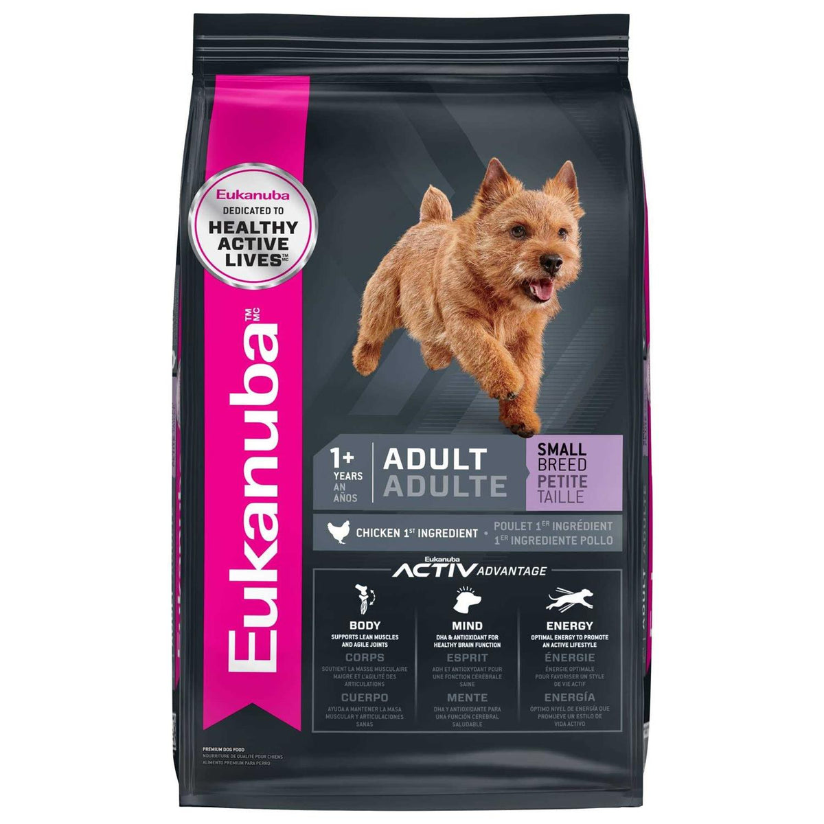 Adult Small Breed Dry Dog Food Y89022