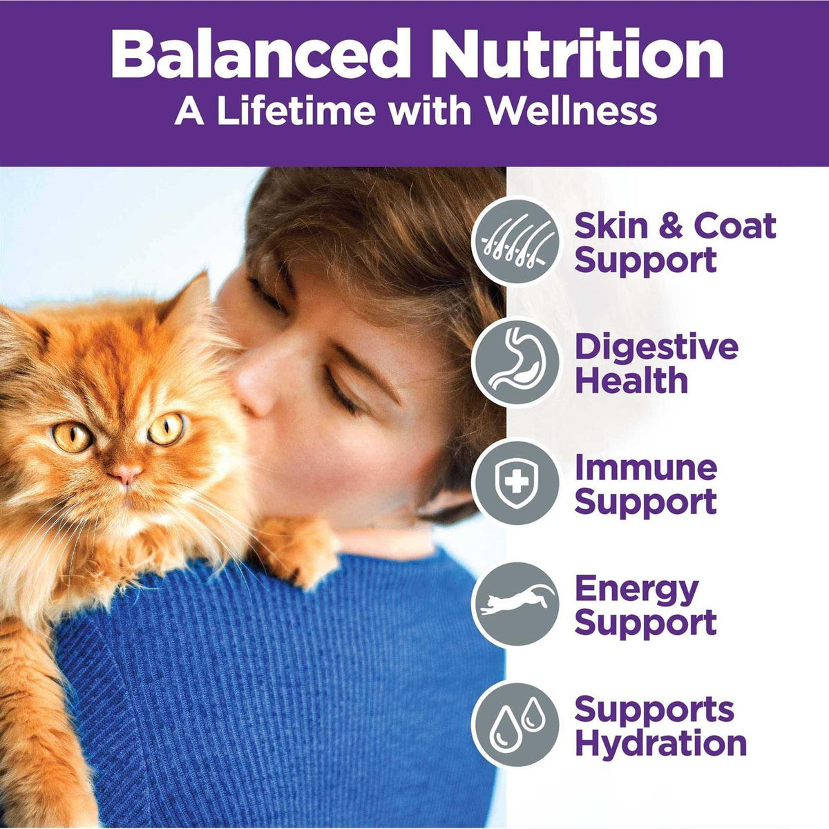 Chicken & Turkey Pate Cat Food Variety Pack Y999