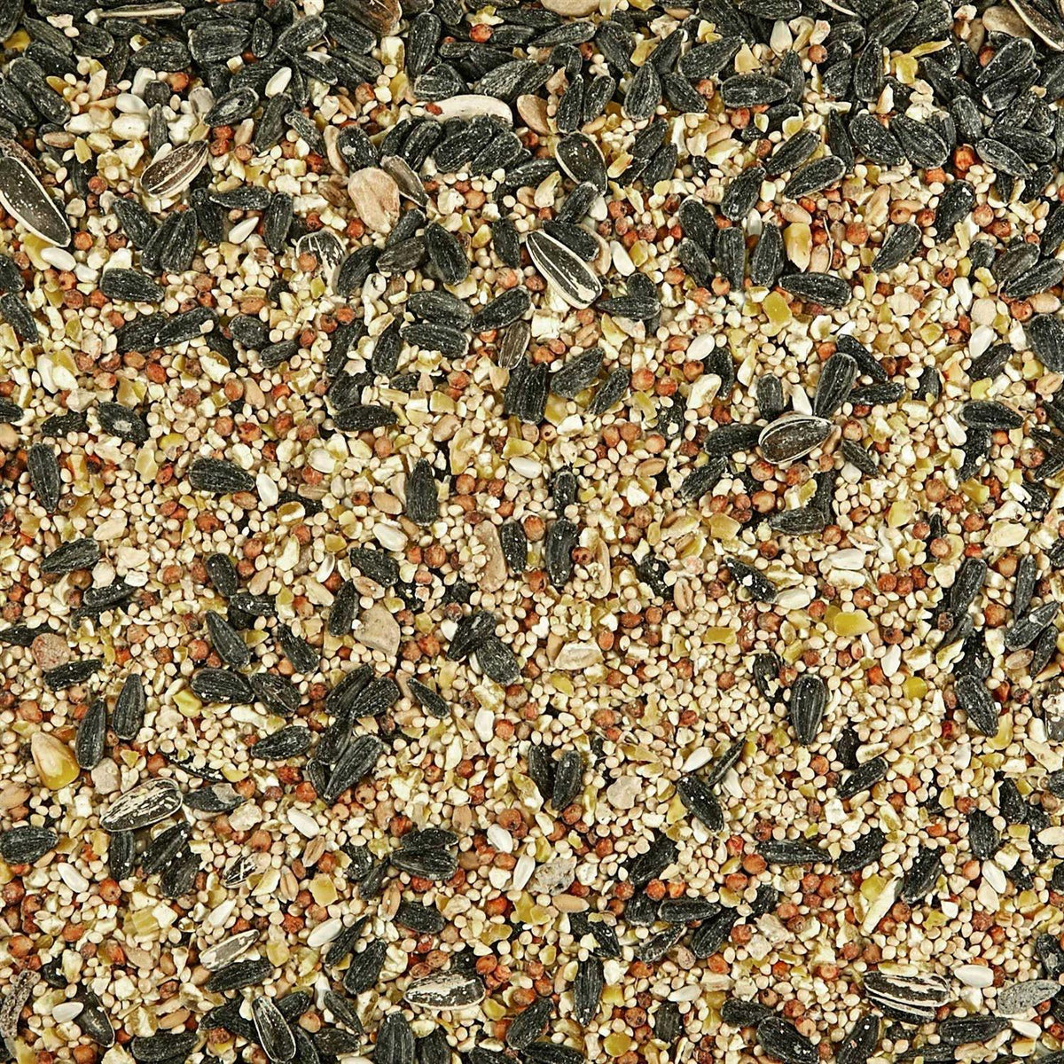 Wild Bird Food F7064