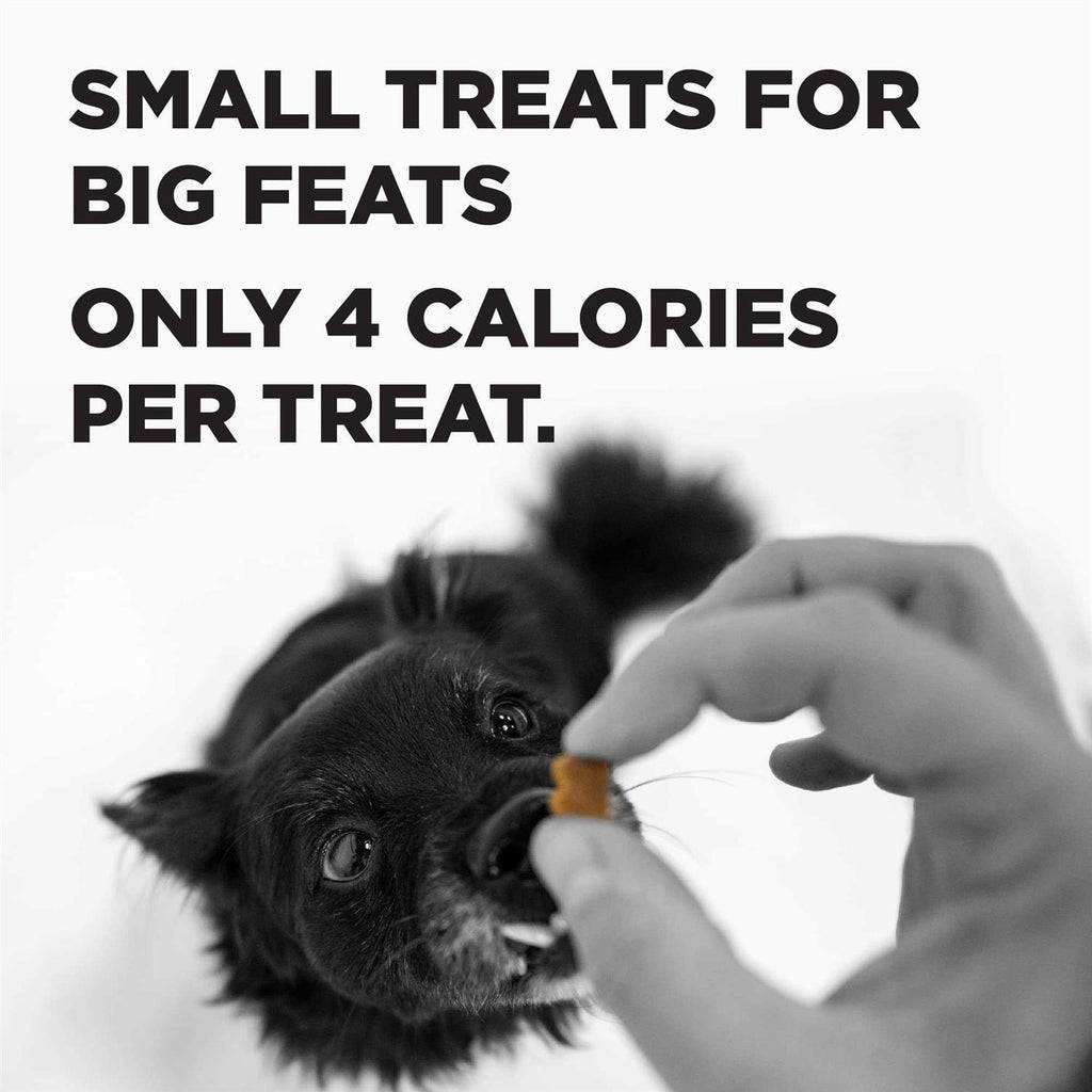 Dog Treats D49750