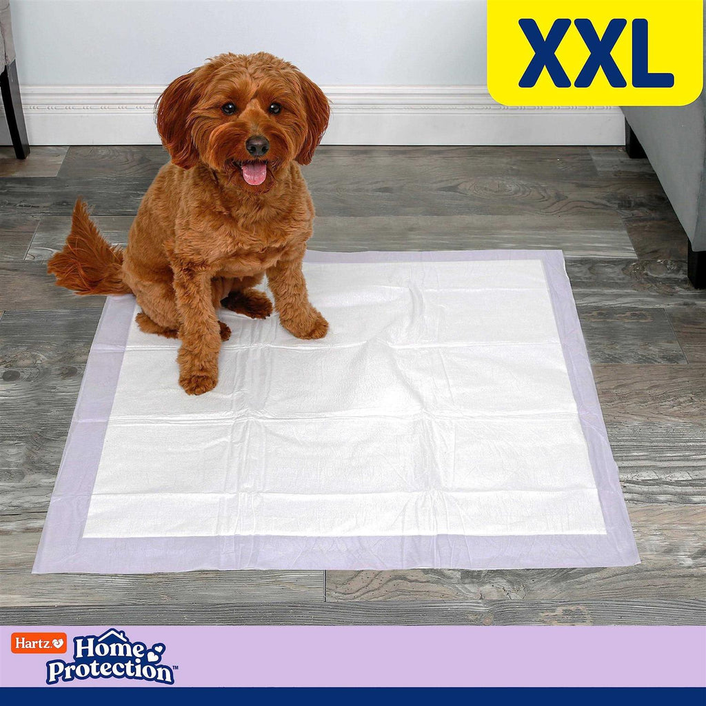 Lavender Scent Odor Eliminating Dog Pads C5749