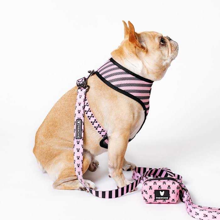 Reversible Harness I695