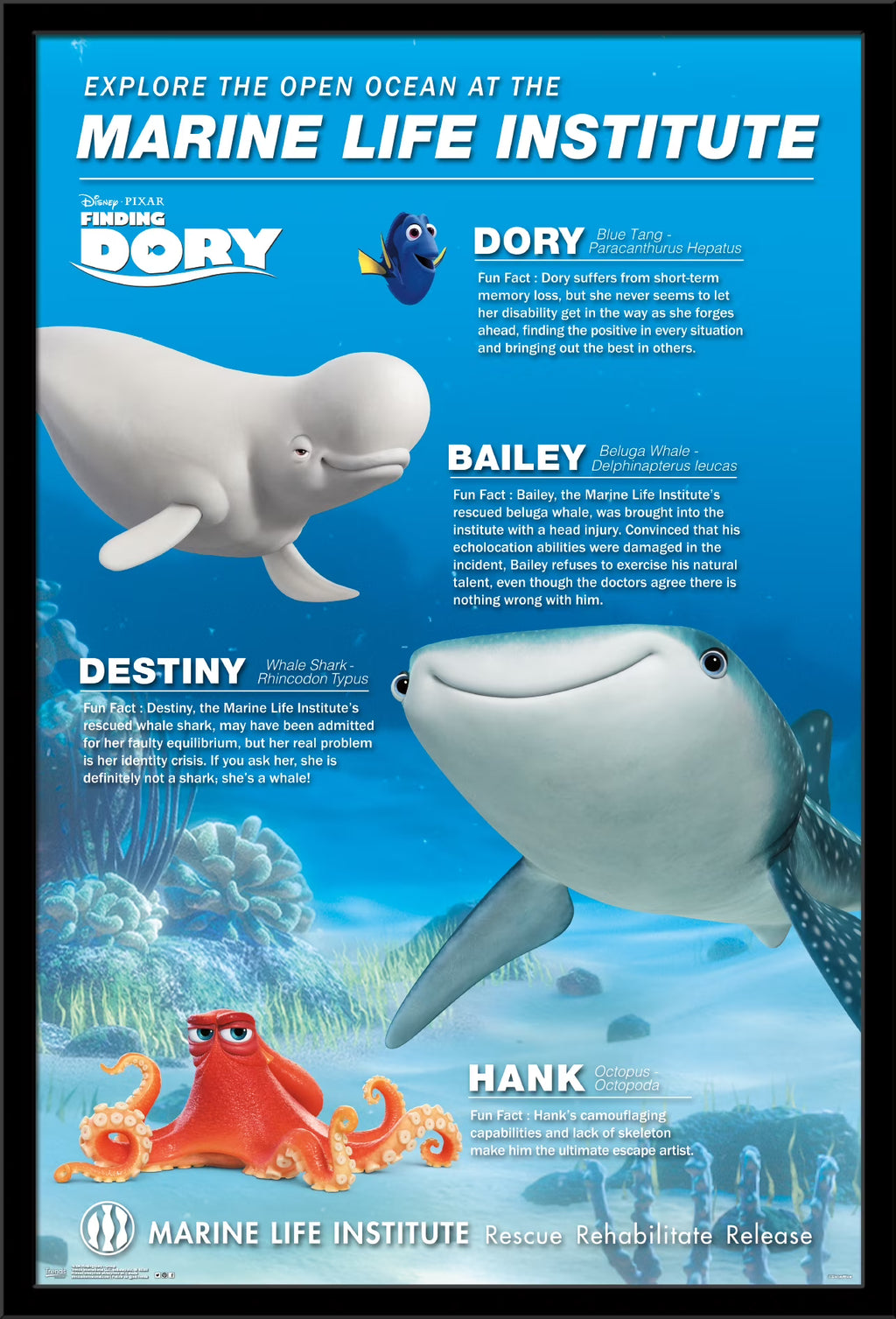 Framed Group Wall Poster R823
