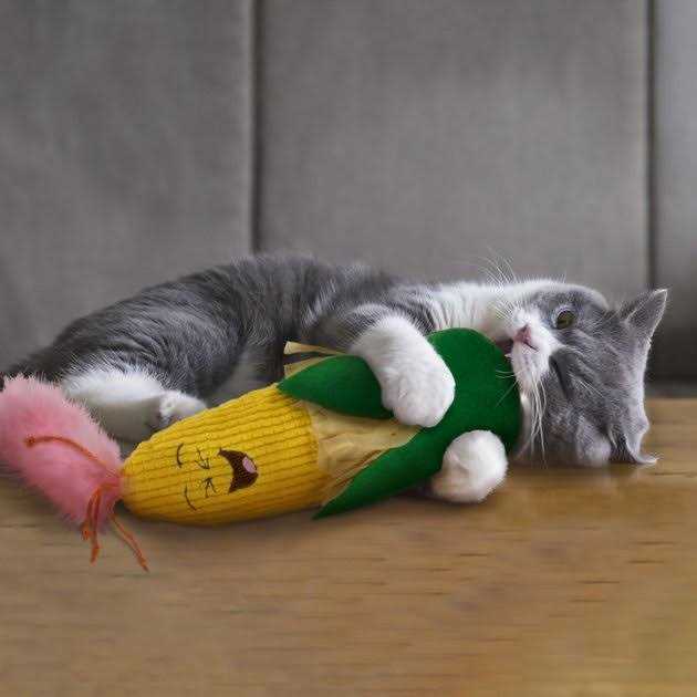 Crinkle Kicker Catnip Cat Toy C611597