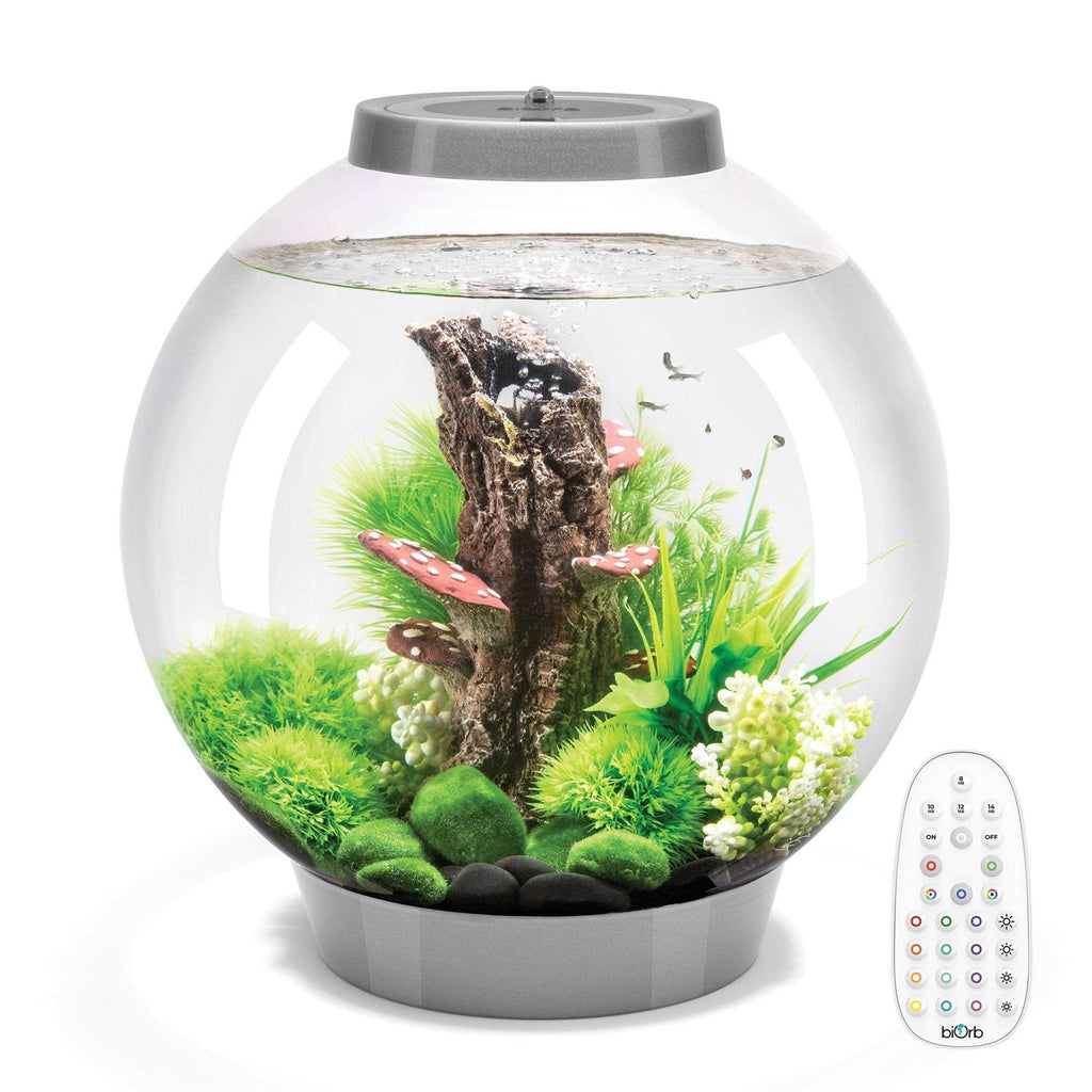 60 Aquarium with LED X20708