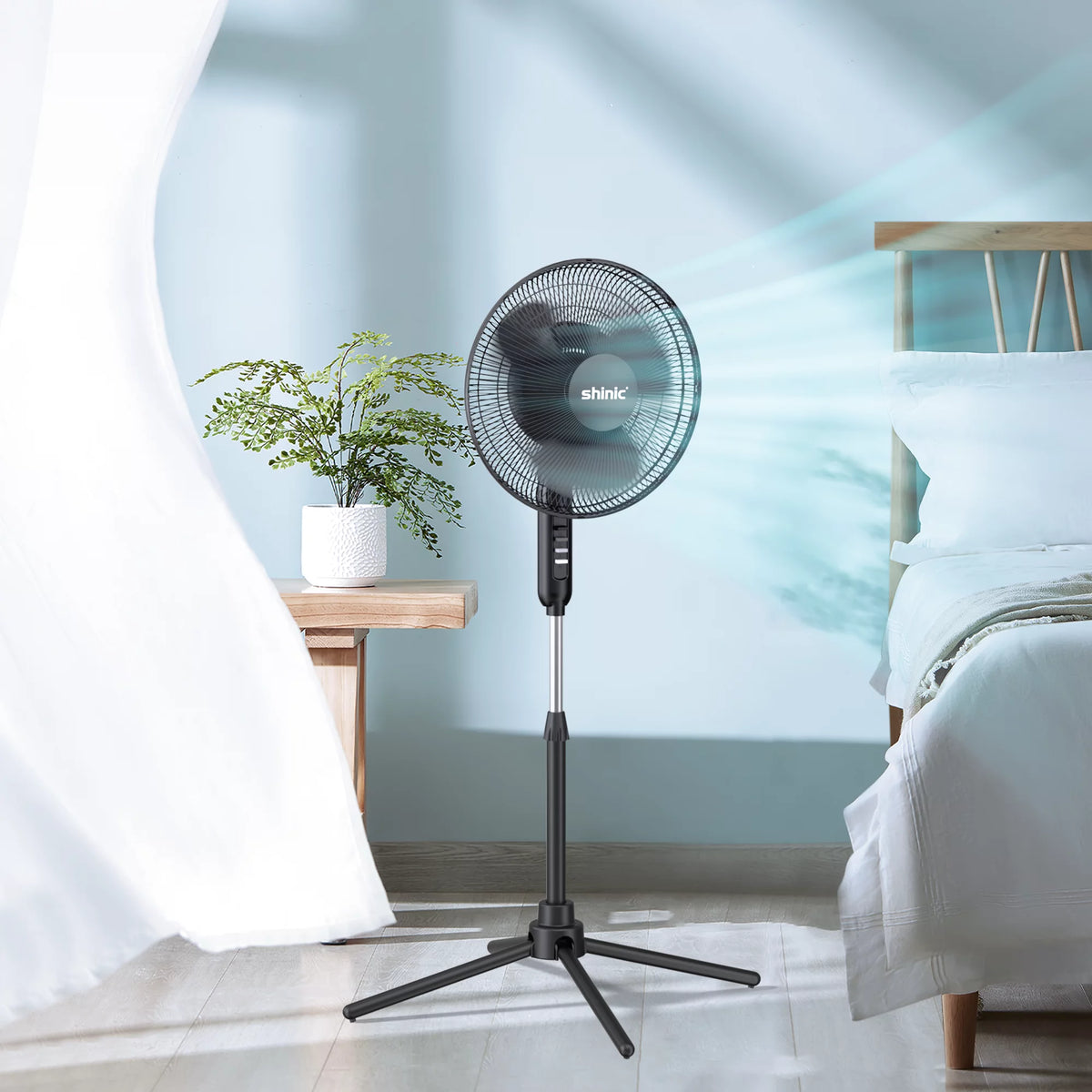 3-Speed Oscillating Pedestal Fan, Black F273