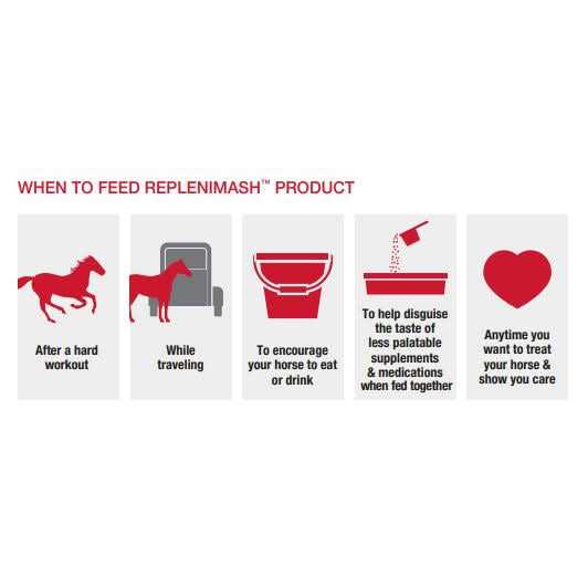 Purina RepleniMash Product X6856
