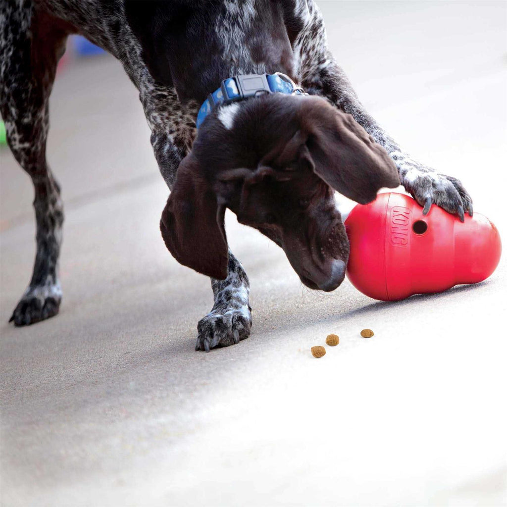 Dog Toy Z462