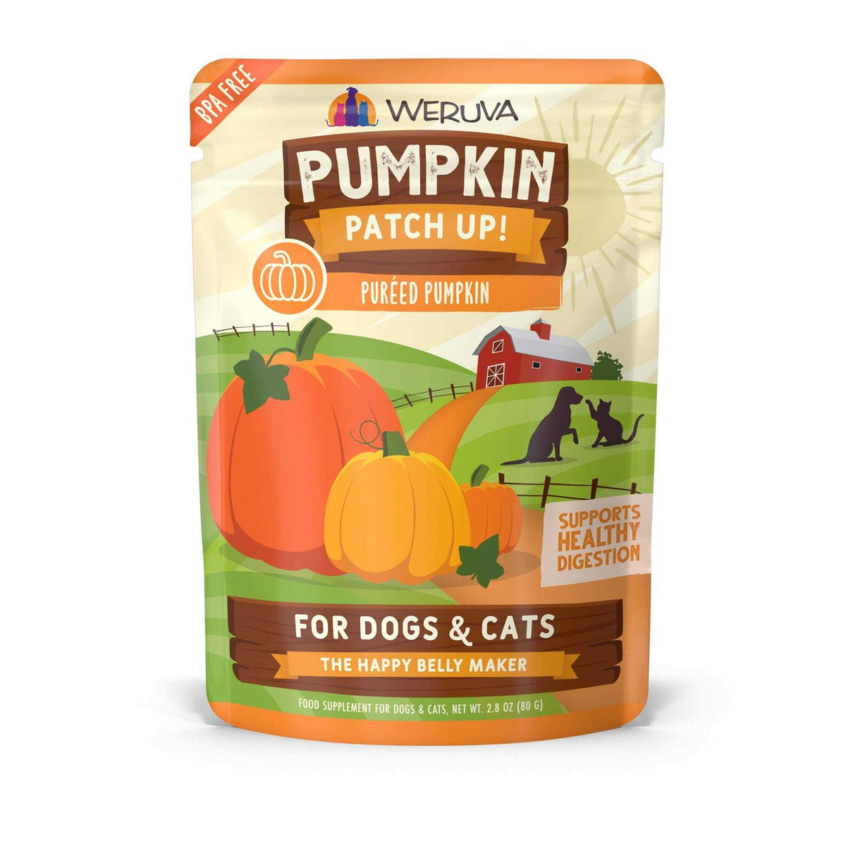 Pumpkin Patch Up K8130