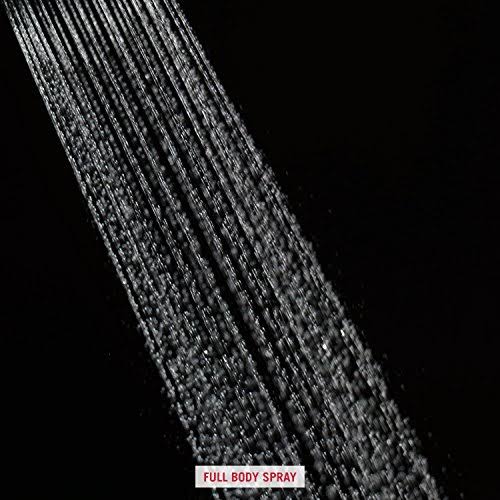 Chrome Shower Head V274