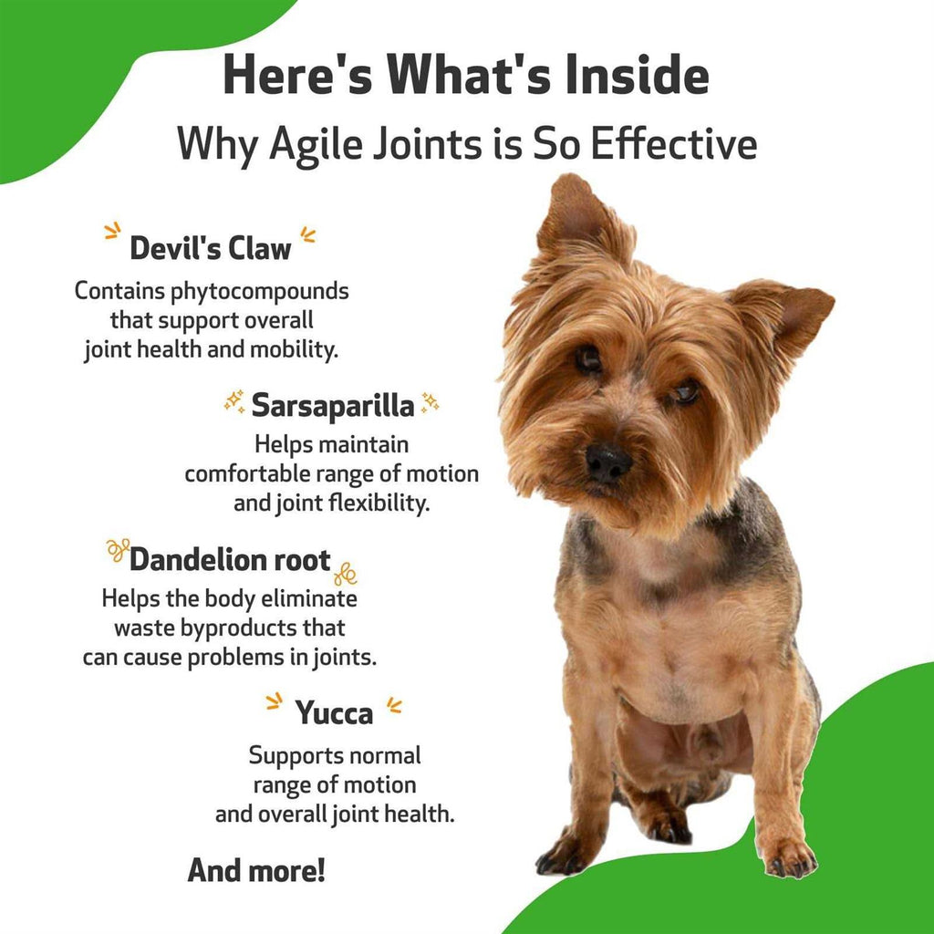 Agile Joints Pet Supplies V7899