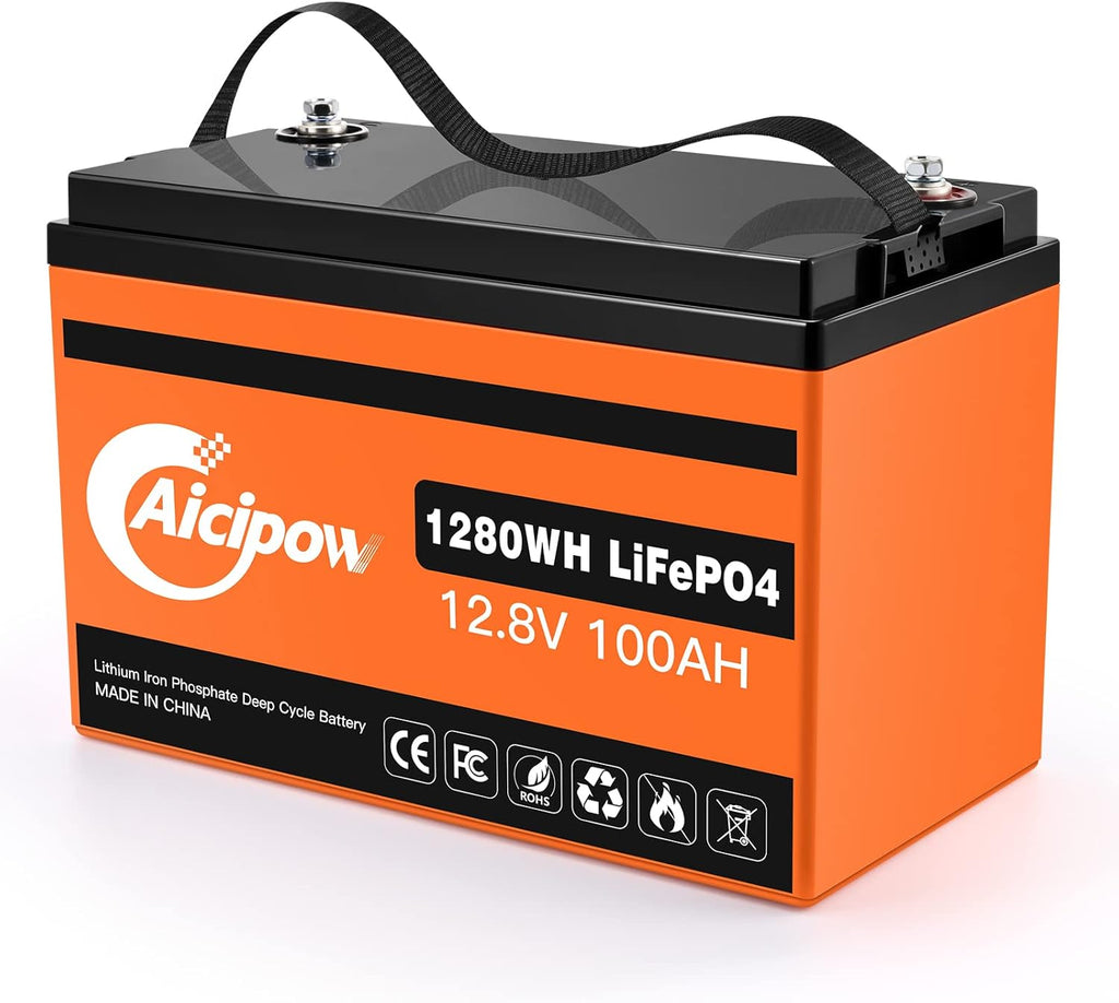LiFePO4 Battery 100Ah 12.8V with Built-in 100A BMS C9518