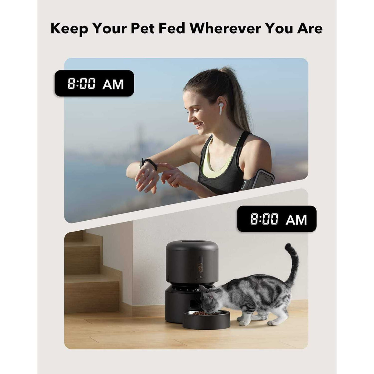 Automatic Cat Feeder F23211