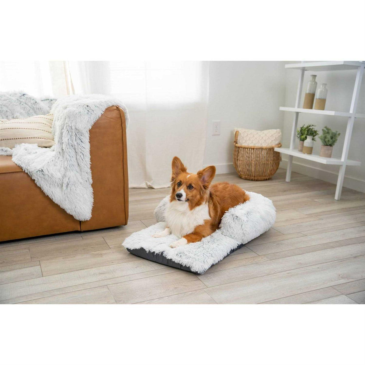 Dog Mat V161099