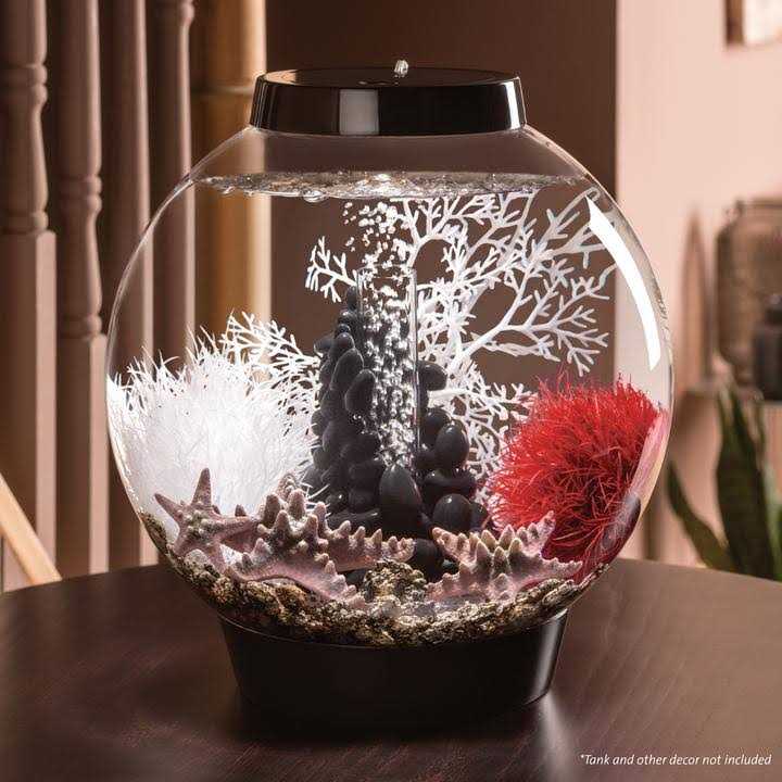 60 Aquarium with LED X20708