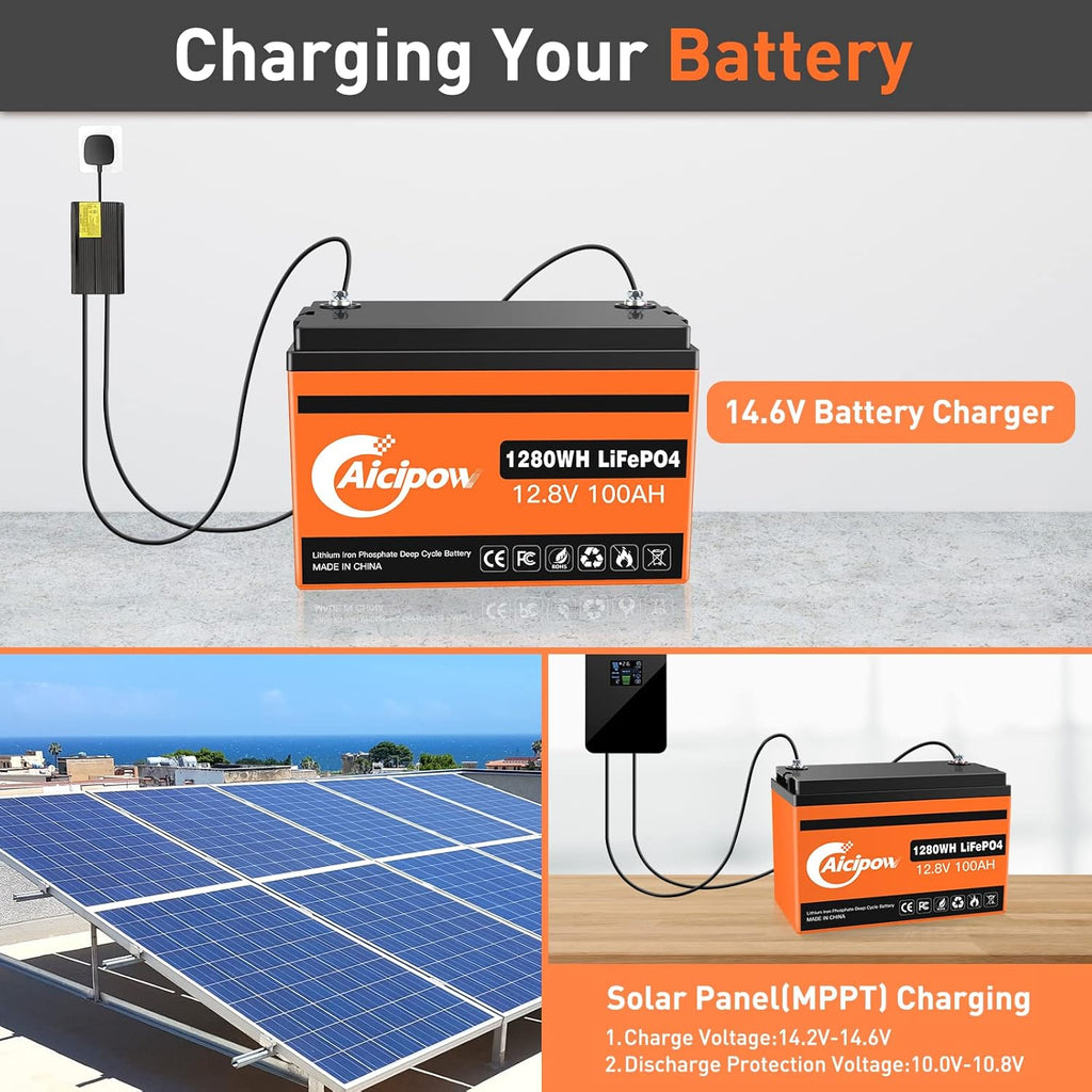 LiFePO4 Battery 100Ah 12.8V with Built-in 100A BMS C9518