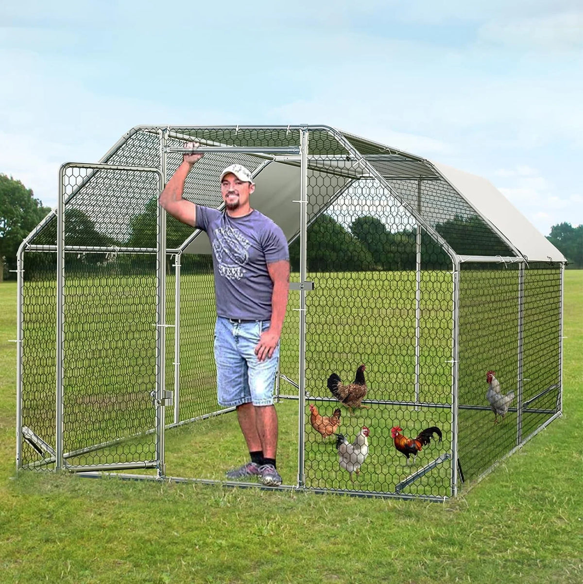 Large Metal Walk in Chicken Coop E671