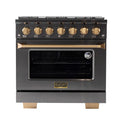 36 5.2 cu. ft. Dual Fuel Range Titanium Stainless Steel V810